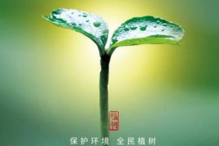 傲群連續10年參加番禺青企的“愛心林”植樹活動