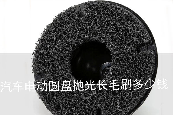 汽車電動圓盤拋光長毛刷多少錢