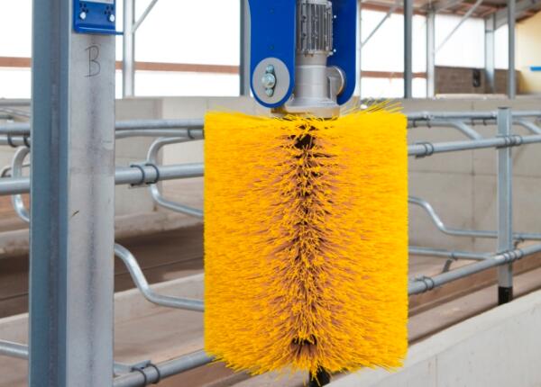 畜牧養(yǎng)殖牛體刷定制方案